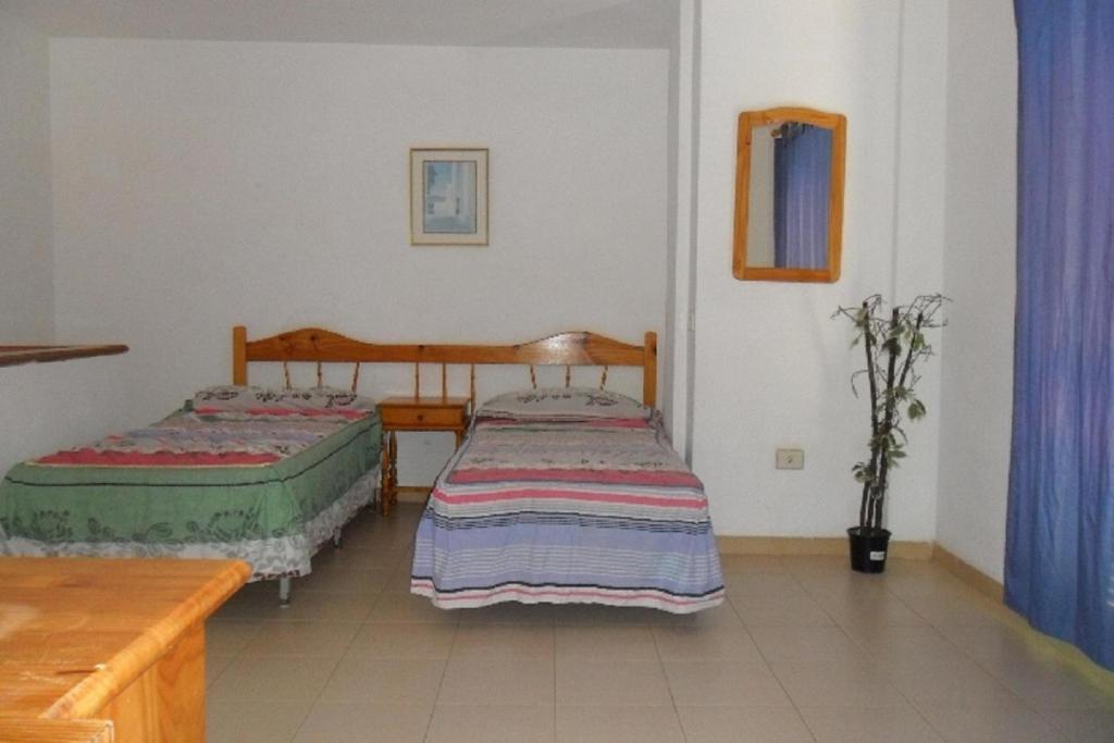 Apartamentos Alondras Park Costa Del Silencio Luaran gambar